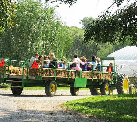FarmGallery_1_hayride