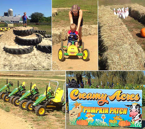 FarmGallery_8_fall fest