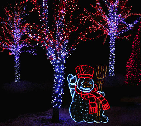 NightofLights_Lightshow1